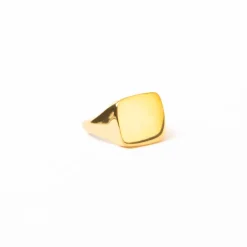 INK + ALLOY Poppy Brass Flat Square Signet Ring 18k Gold Size 8